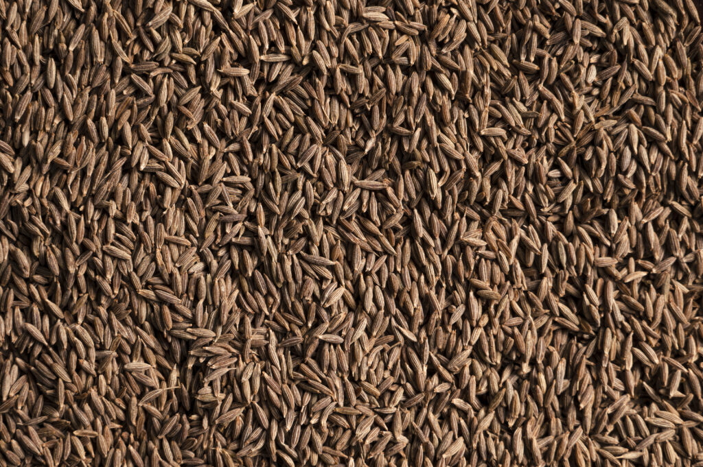 1. Cumin Seeds