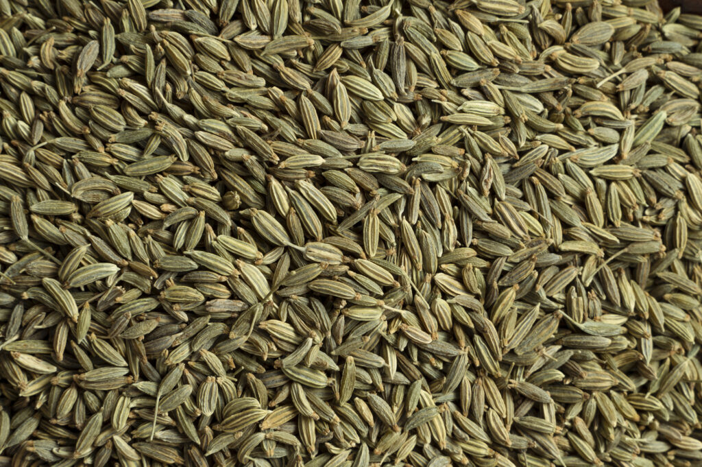 3. Fennel Seeds