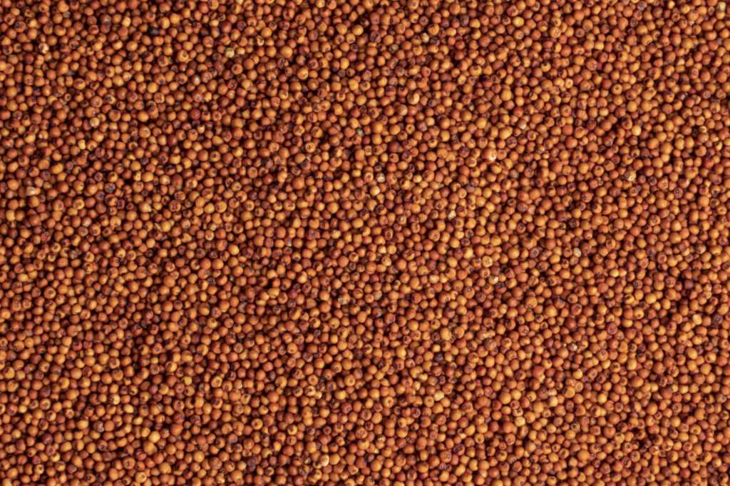 3. Finger Millet