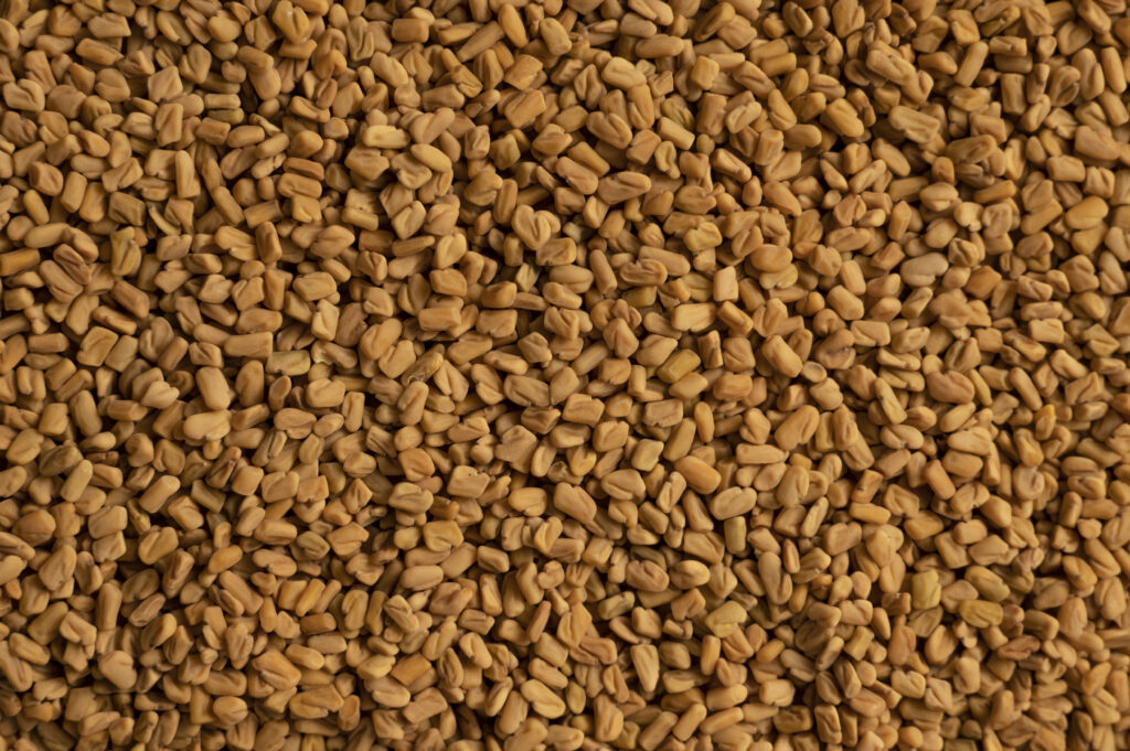 5. Fenugreek Seeds