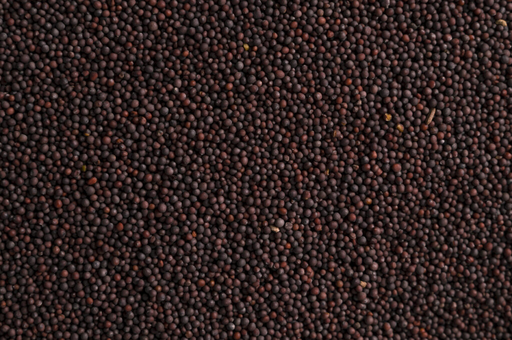 6. Mustard Seeds