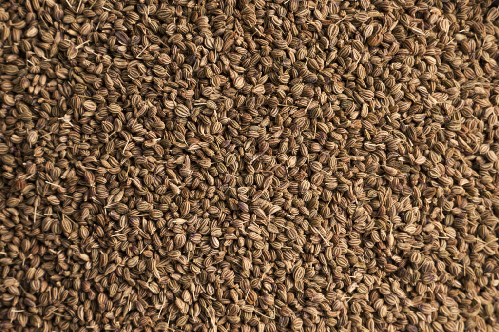 7. Carom Seeds